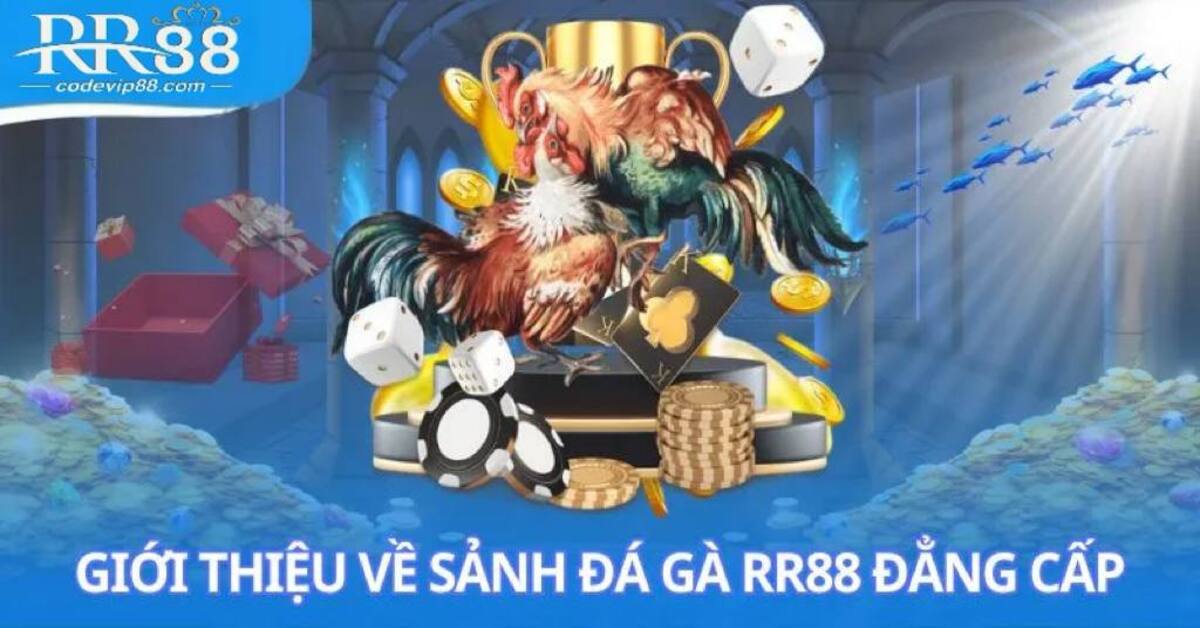 Đá gà RR88 mới nhất 2025 - Nhận code ưu đãi Đá gà RR88 - Phiên bản mới nhất 2025 kèm code thưởng siêu hấp dẫn