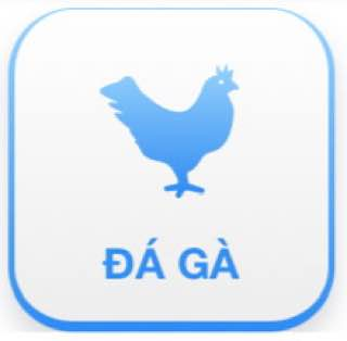 Đá Gà